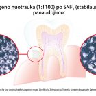 Stabilus alavo fluoras | Dantu pasta Emofluor