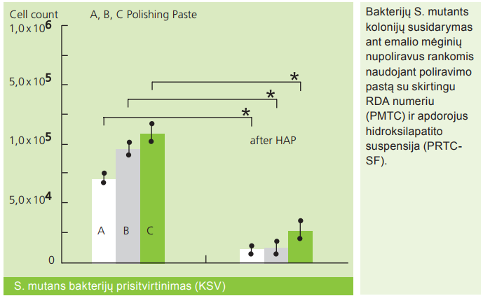 Bakterijų S. mutants kolonijų susidarymas ant emalio mėginių