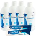 Atemfrisch rinkinys 4+2