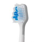 Waterpick STRB CC-01 sepetelio antgaliai 3 vnt