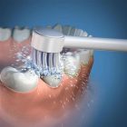 Waterpik dantu šepetėlio antgalis TB-100E