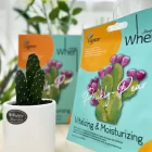 Simply When Prickly Pear drekinanti veido kauke