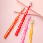 Pesitro Flossing dantų šepetėlis