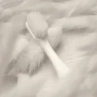 Pesitro Flossing dantų šepetėlis