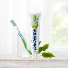 PLIDENTA HERBAL dantų pasta